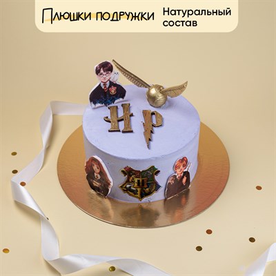 Торт на день рождения защита от темных искусств 2 кг