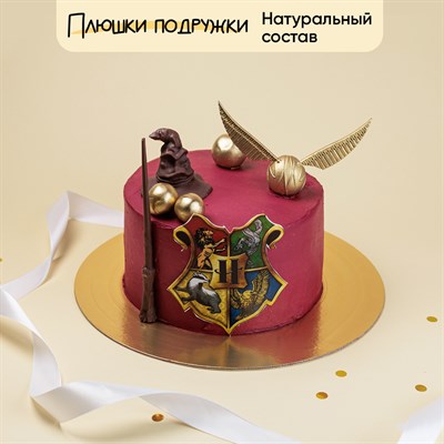 Торт на день рождения Ловец снитчей 2 кг