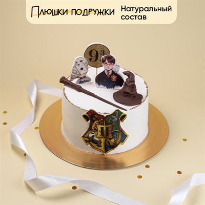 Торт на день рождения Гарри и его шляпа 2 кг