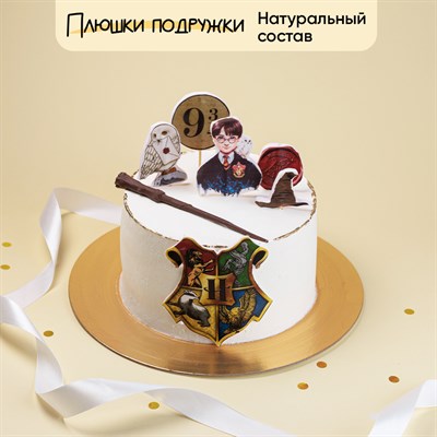 Торт на день рождения Гарри с волшебной палочкой 1,7 кг