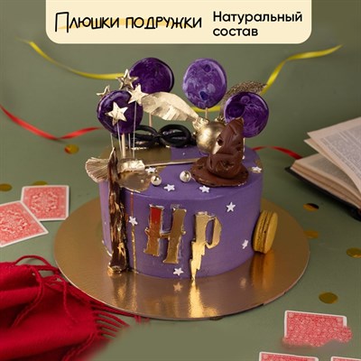 Торт подарочный Гарри поттер и очки 2 кг