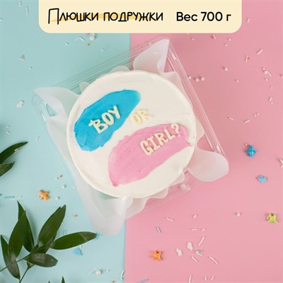 Бенто-торт Boy or Girl ? Бенто-торт Boy or Girl ?