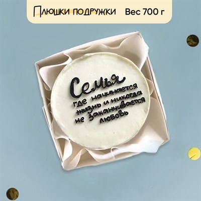 Бенто-торт Семья где начинается жизнь Бенто-торт Семья где начинается жизнь