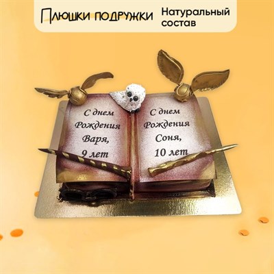 Торт Подарочный Гарри поттер Книга предсказаний №2 Торт Подарочный Гарри поттер Книга предсказаний №2