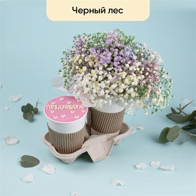 Десерт и цветы (черный лес, гипсофила)