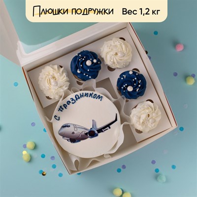 Бенто-торт и капкейки пилоту С Праздником Бенто-торт и капкейки пилоту С Праздником
