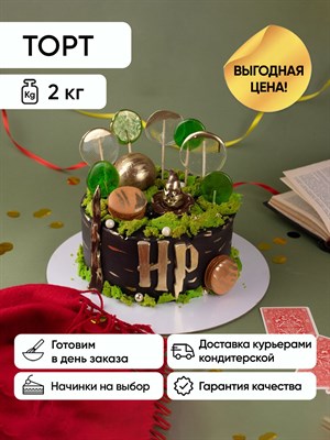 Торт подарочный Гарри поттер зеленый 2 кг