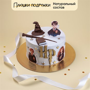 Торт на день рождения Гарри и его друзья 2 кг - фото 124340