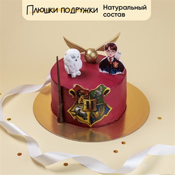 Торт на день рождения хогвардский сувенир 2 кг - фото 124705