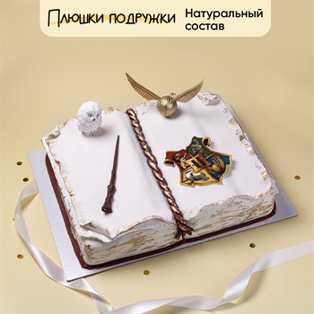 Торт в стиле Гарри поттер Книга Таинства 4 кг - фото 124785