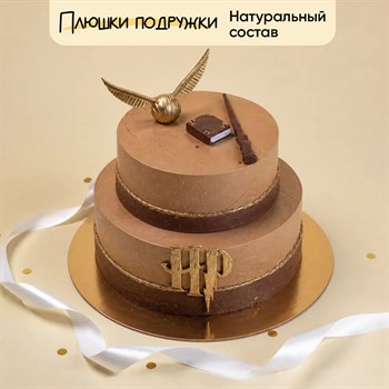 Торт двухъярусный в стиле Гарри поттер Таинство 5кг - фото 124808