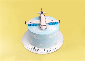 Торт Подарочный Летчик 2кг - фото 17277