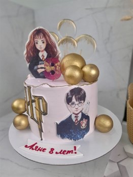 Торт подарочный Гарри Поттер - фото 6753