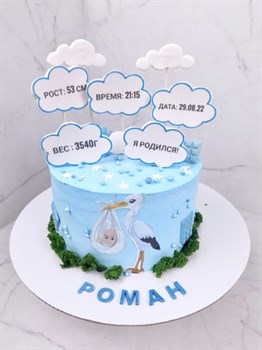 Торт подарочный На выписку Аист - фото 6874