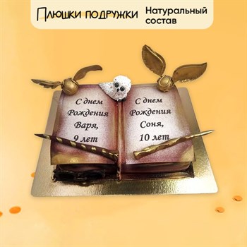 Торт Подарочный Гарри поттер Книга предсказаний №2 - фото 74178