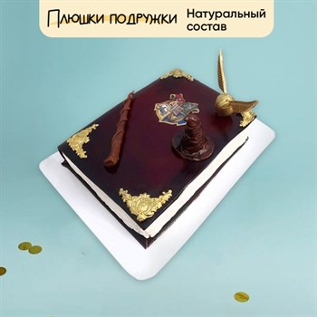 Торт Подарочный в стиле Гарри Поттера Хогвардс - фото 74181
