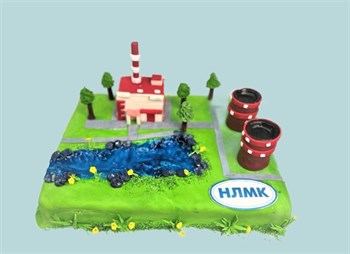 Торт корпоративный НМЛК - фото 7722