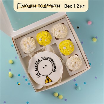 Бенто-торт и капкейки с приколом "Под Напряжением" - фото 79785