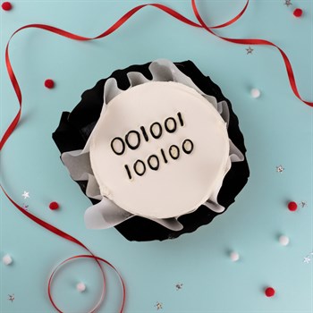 Бенто-торт программисту "Бинарная система" - фото 85728